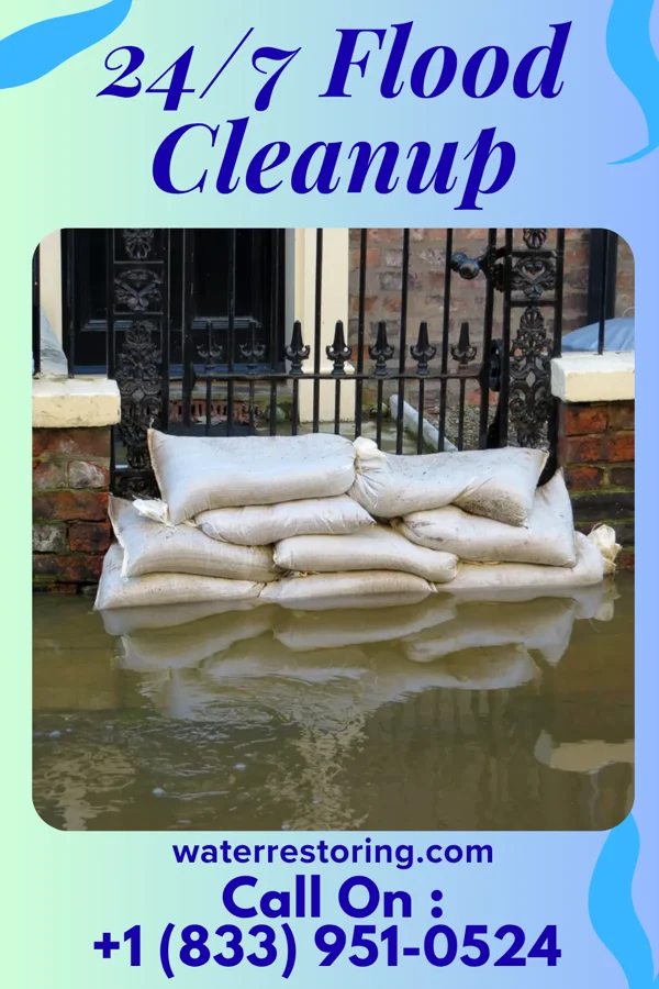 24/7 Flood Cleanup in Barrera, TX
