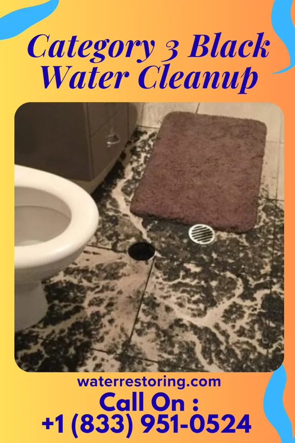 Category 3 Black Water Cleanup in Barrera, TX