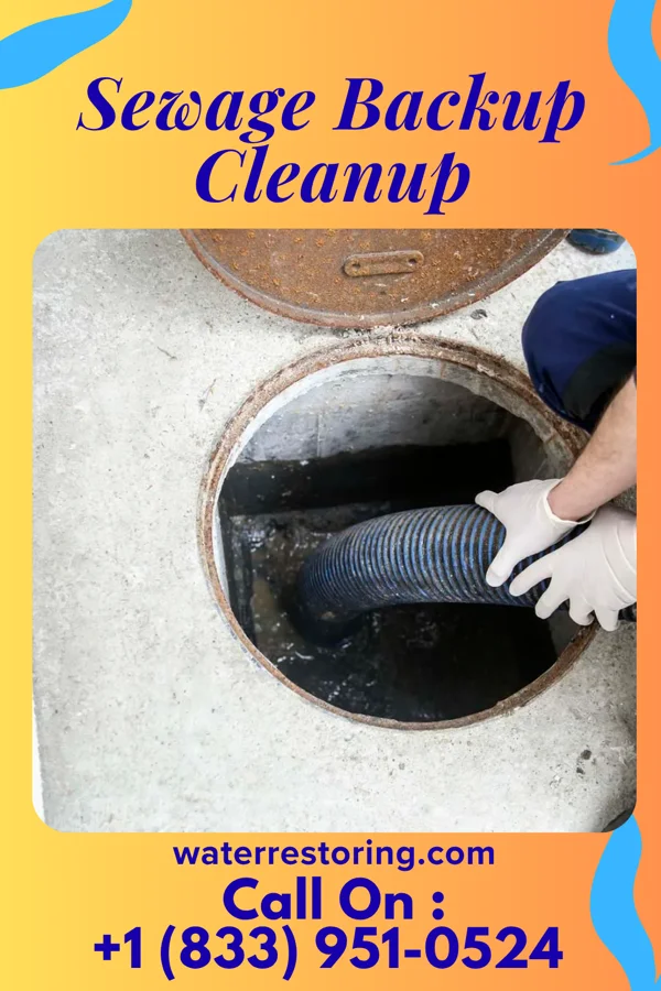 Sewage Backup Cleanup in Barrera, TX